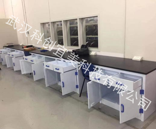 武漢凈化工程-PP實(shí)驗(yàn)臺(tái)